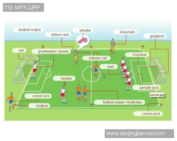 足球明星的单词书带你领略绿茵场上的精彩瞬间与语言魅力